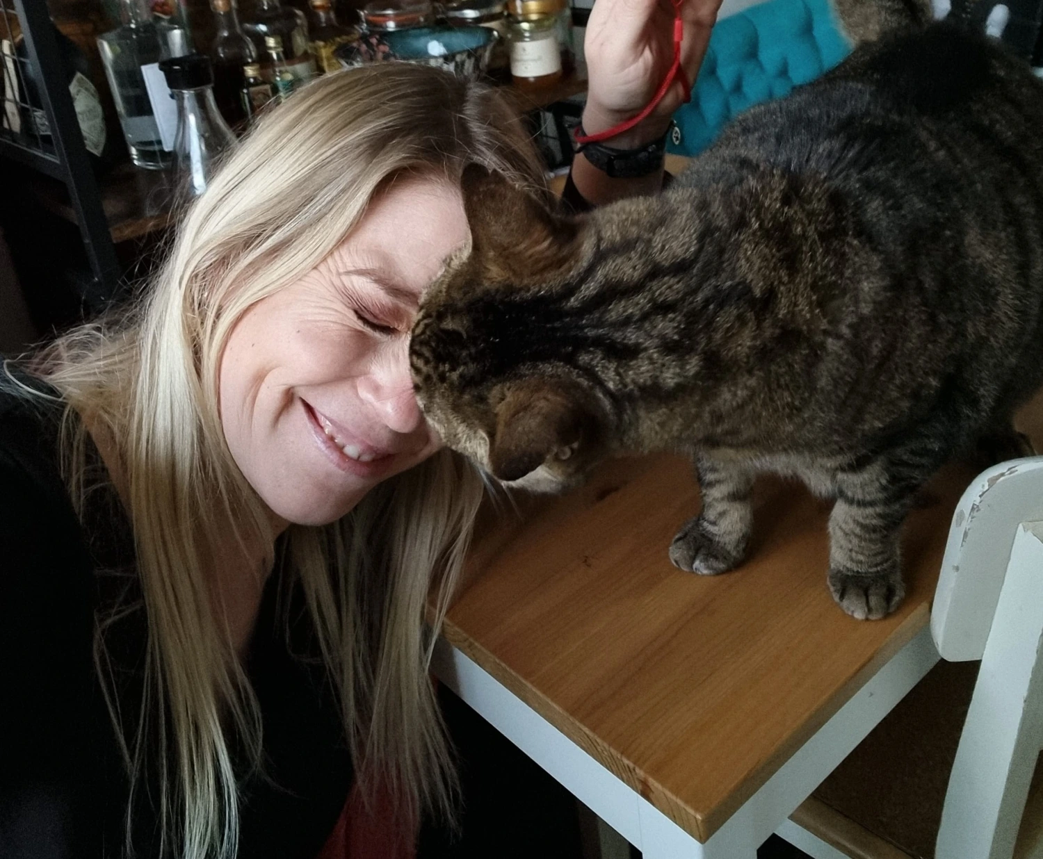 Tierbetreuung