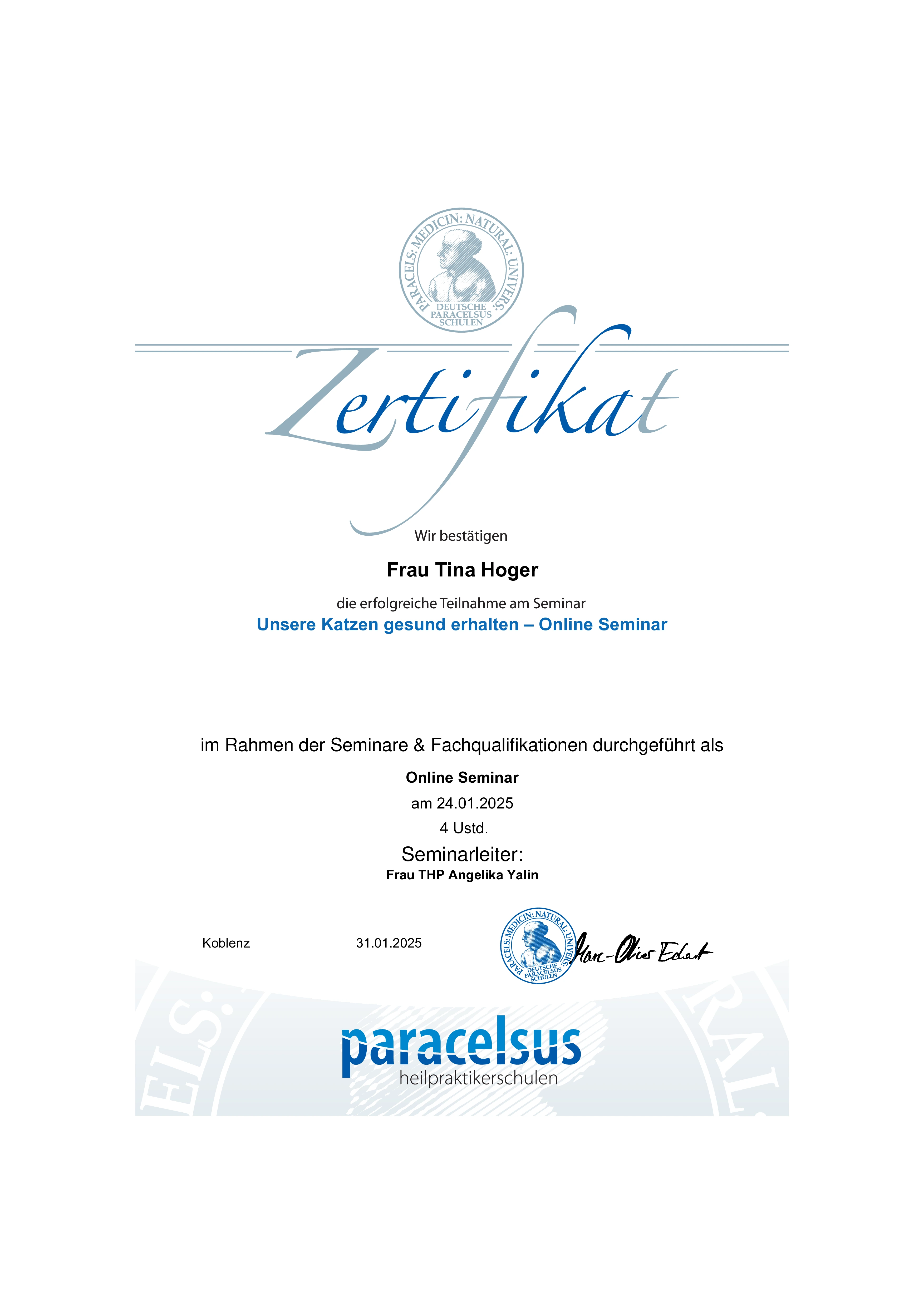 katze von katzen glück